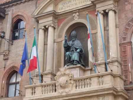 camonita 